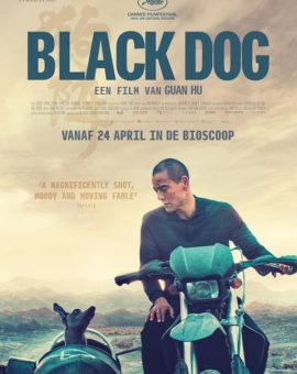 Black Dog