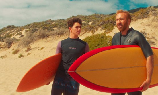 The Surfer
