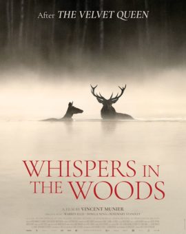 Whispers in the Woods