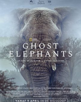Ghost Elephants